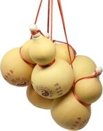 کدو قلیانی(وولو ثروت) طبیعی بزرگ - Image 4