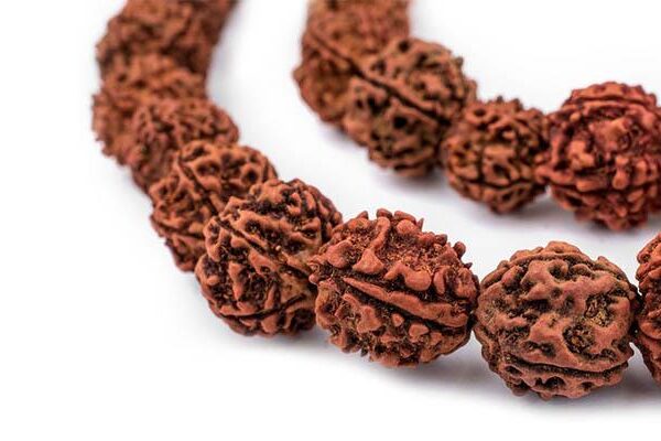 رودراکشا 108 عددی بدون حنا